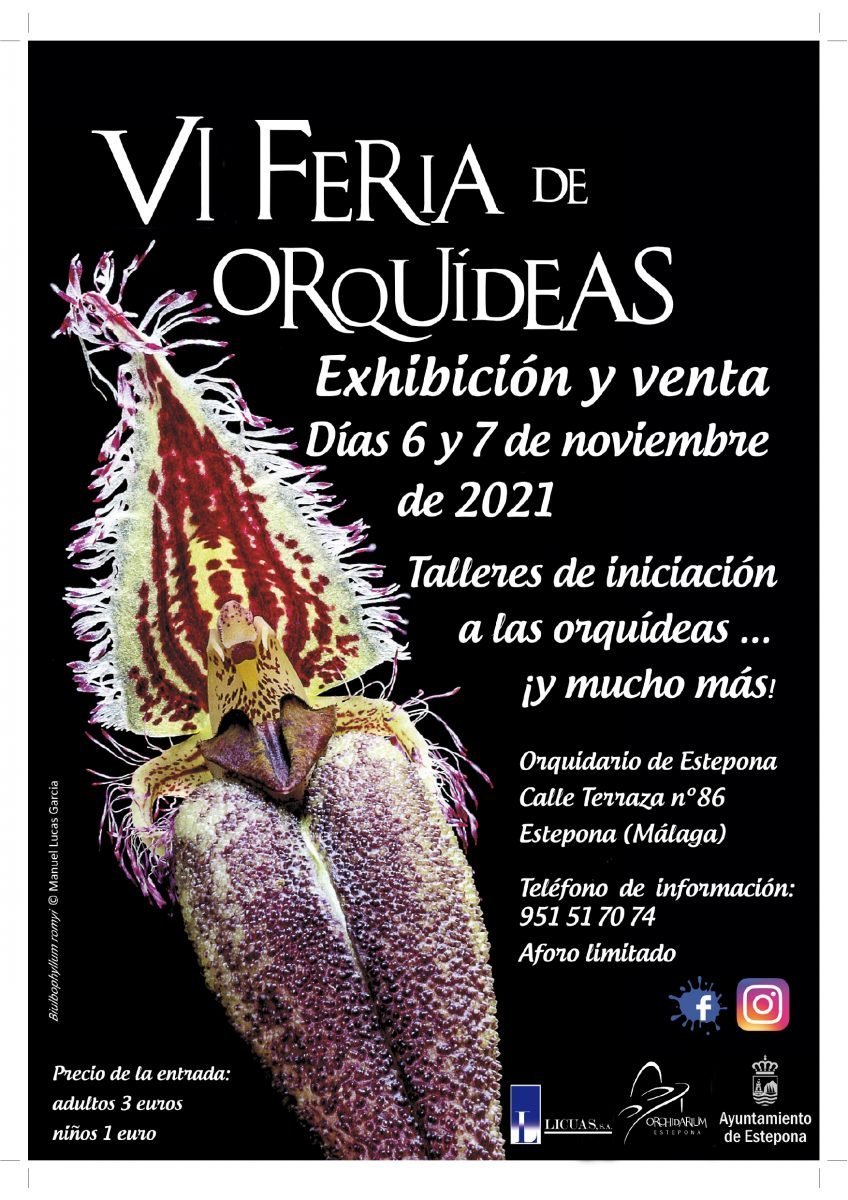 El Orquidario de Estepona acoge este fin de semana la VI Feria de Orquídeas - 211106 VI Feria de Orquídeas page 0001 1
