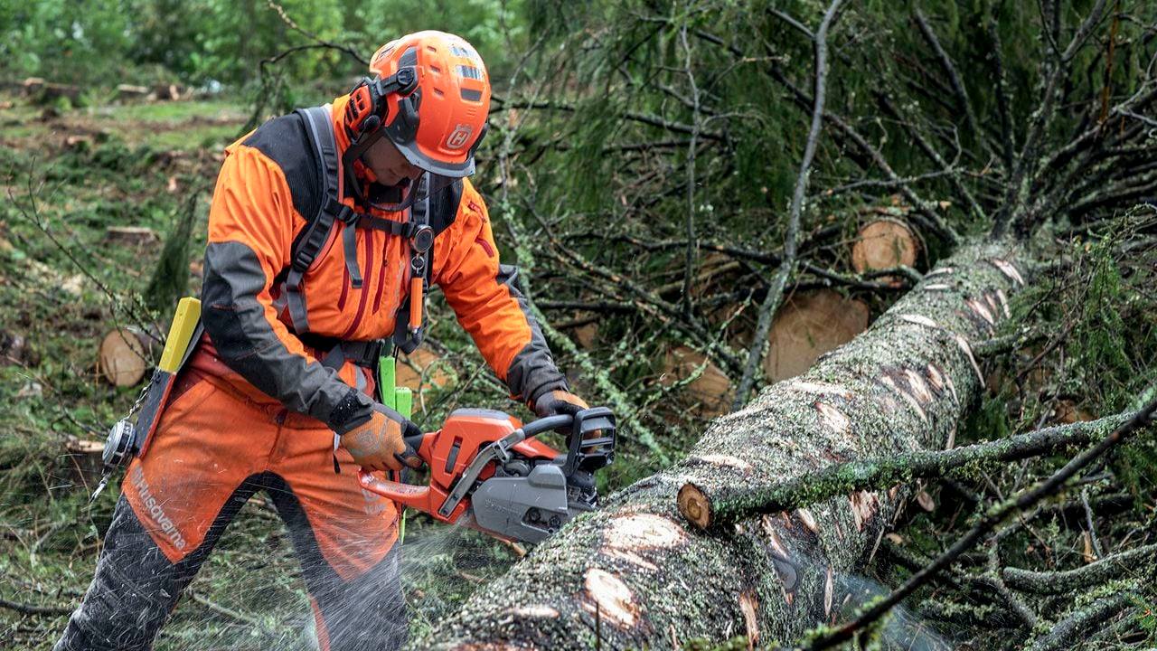 Sierra Bermeja necesita personal para trabajar en su restauración - 258853590 3143240989291487 8007904343909374982 n Sierra Bermeja necesita personal para trabajar en su restauración - 258853590 3143240989291487 8007904343909374982 n
