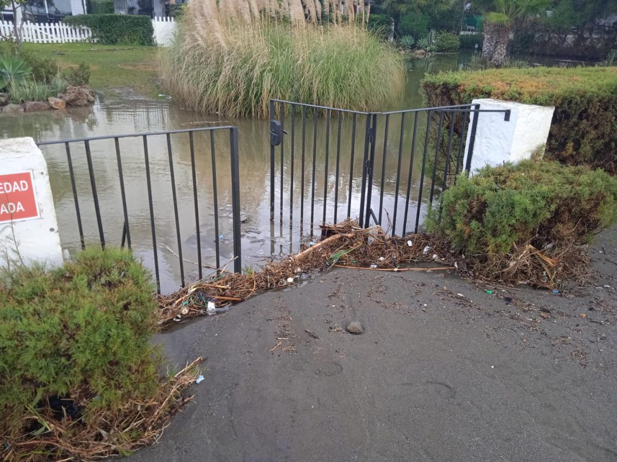 Casares sufre con intensidad los coletazos del temporal - 259106084 3141086222840297 5366000434064961997 n Casares sufre con intensidad los coletazos del temporal - 259106084 3141086222840297 5366000434064961997 n