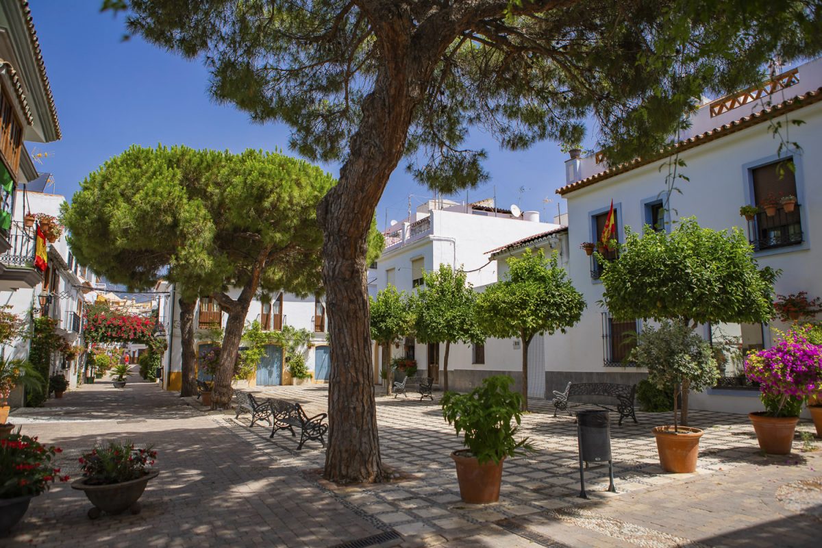 El Plan Árbol de Estepona avanza con 250 nuevas plantaciones - Foto plan arbol El Plan Árbol de Estepona avanza con 250 nuevas plantaciones - Foto plan arbol
