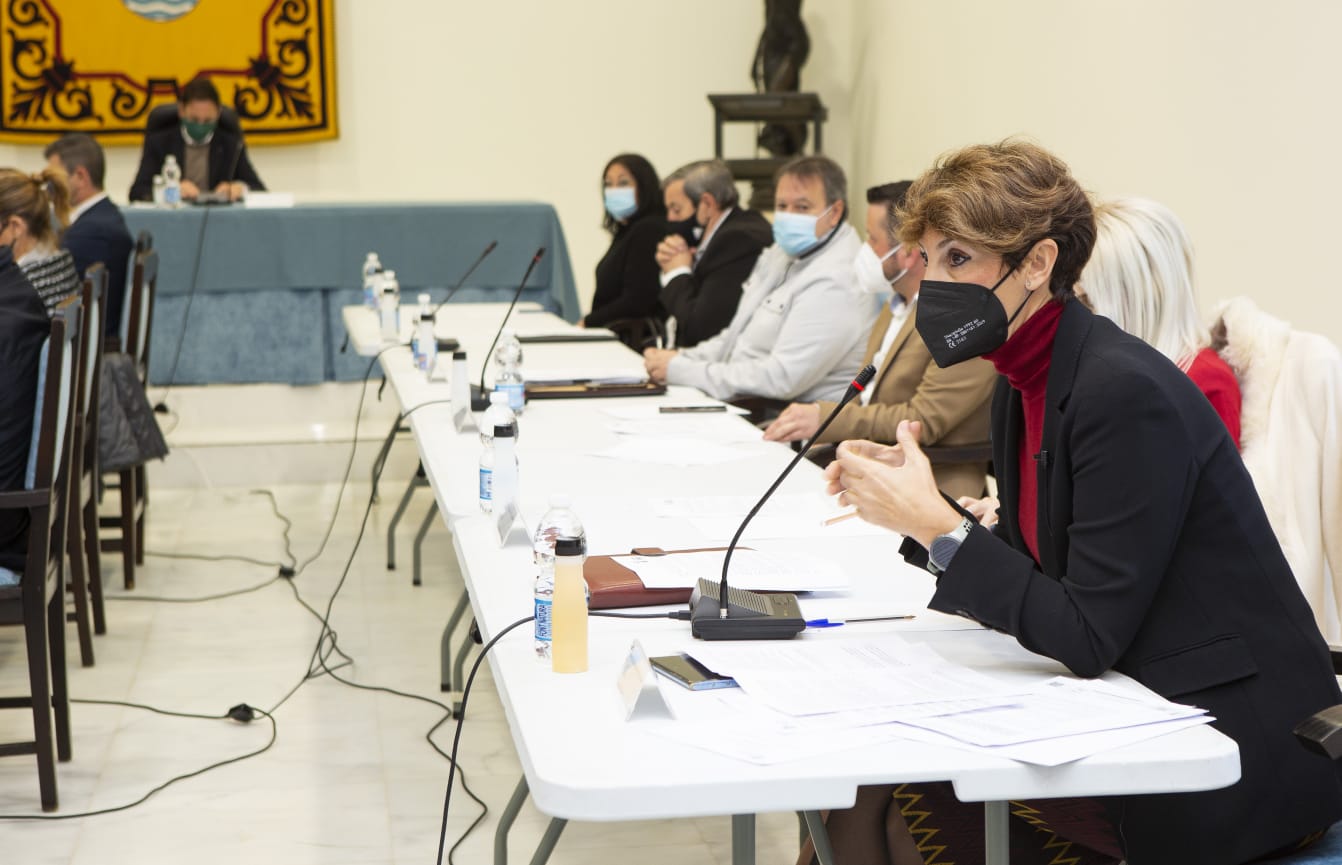 El PSOE denuncia que García Urbano haya abandonado los servicios públicos y las barriadas de Estepona - IMG 20210121 WA0045 Emma Molina, en pleno.