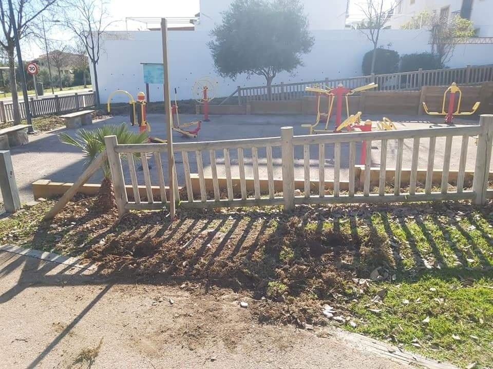 Ataque brutal de cerdos salvajes a un perro en Marbella: "La próxima vez le podría tocar a un niño" - 271630837 1633484133698653 8578126584454170232 n
