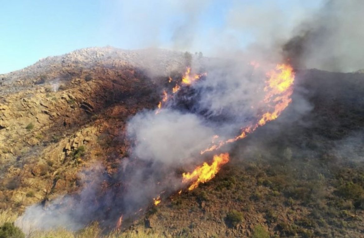 Controlado el incendio de Ojén - BCF42D95 CF7C 4451 905F 6910DE393DF2 Controlado el incendio de Ojén - BCF42D95 CF7C 4451 905F 6910DE393DF2