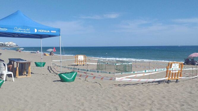 Logran paralizar la construcción de un chiringuito en la playa de Marbella donde nacieron las tortugas bobas - Vista general implantado Cabopino Marbella 1504060189 126001040 667x375 1 Logran paralizar la construcción de un chiringuito en la playa de Marbella donde nacieron las tortugas bobas - Vista general implantado Cabopino Marbella 1504060189 126001040 667x375 1