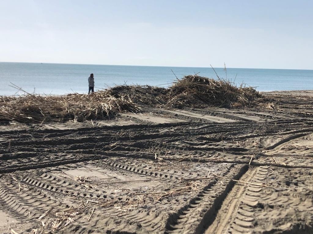 Los efectos del temporal en las playas, otro 'bache' para el turismo en la Costa del Sol - 277462908 3024195234560615 665977352427447531 n Los efectos del temporal en las playas, otro 'bache' para el turismo en la Costa del Sol - 277462908 3024195234560615 665977352427447531 n