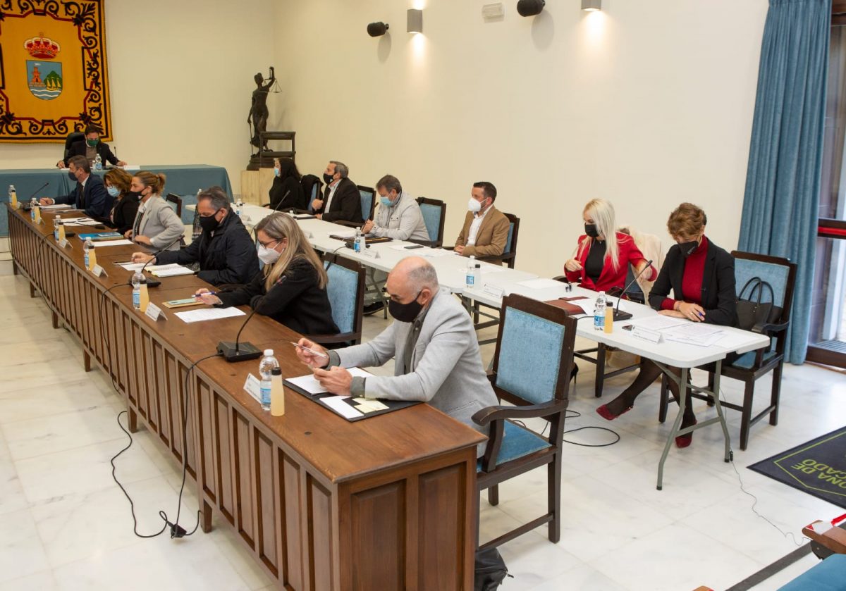 El PSOE acusa a García Urbano de mentir sobre la liquidación del presupuesto municipal - IMG 20210121 WA0057 Emma Molina, en el pleno de este miércoles.
