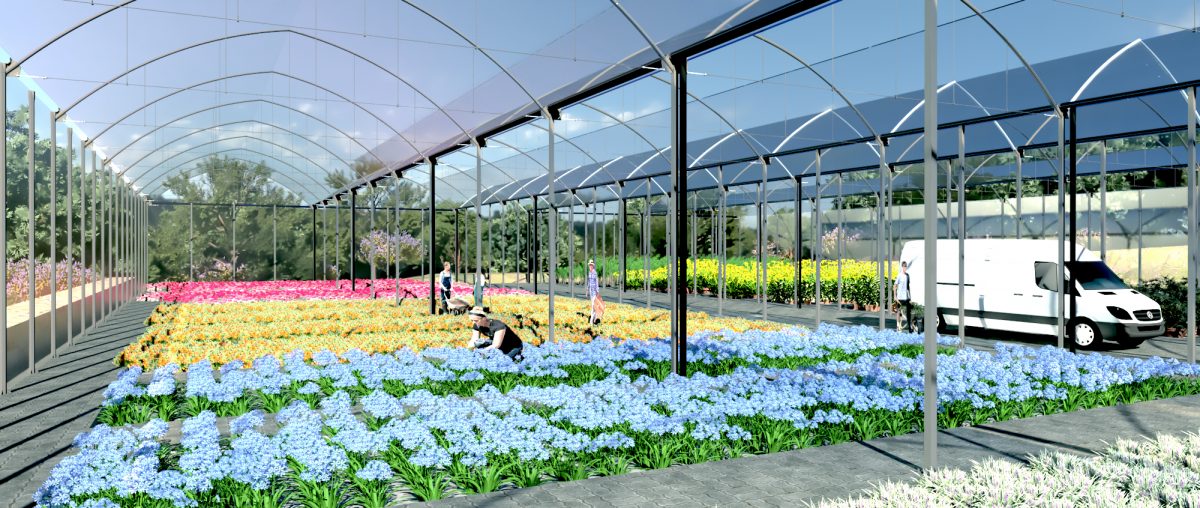 Marbella inicia la construcción de un vivero municipal para ahorrar costes en la compra de flores - VIVERO LAS CHAPAS E 10 INTERIOR Marbella inicia la construcción de un vivero municipal para ahorrar costes en la compra de flores - VIVERO LAS CHAPAS E 10 INTERIOR