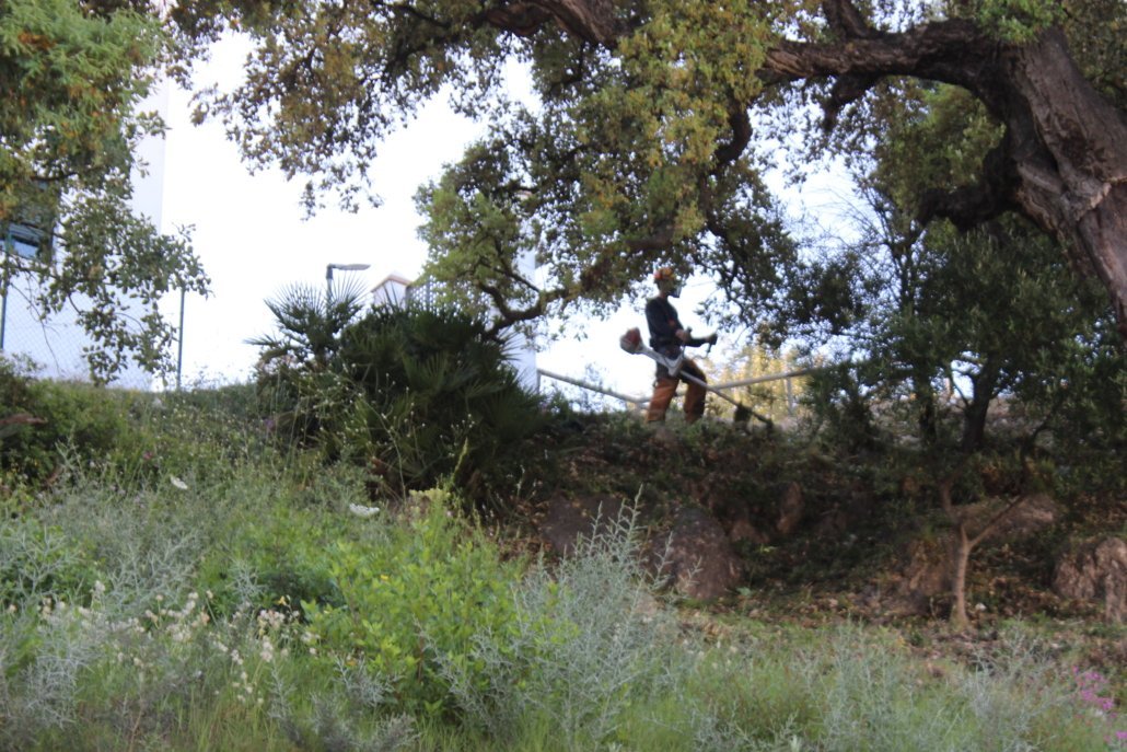 Medida preventiva en caso de incendio con el Plan de Desbroce en Casares, Costa y Secadero - IMG 1341 1030x687 1 Comienzan los trabajos de desbroce en los tres núcleos de Casares.