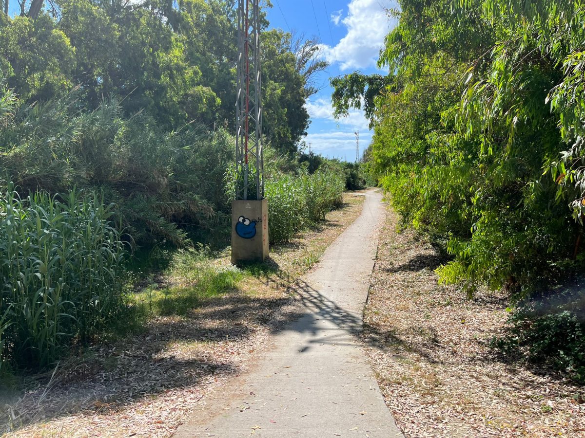 El PP pide la creación de un nuevo vial de acceso a las urbanizaciones de Arroyo Parrilla y Doña Julia - 2cd7304a 01f8 4a66 871f 6f884269e096 El PP pide la creación de un nuevo vial de acceso a las urbanizaciones de Arroyo Parrilla y Doña Julia - 2cd7304a 01f8 4a66 871f 6f884269e096