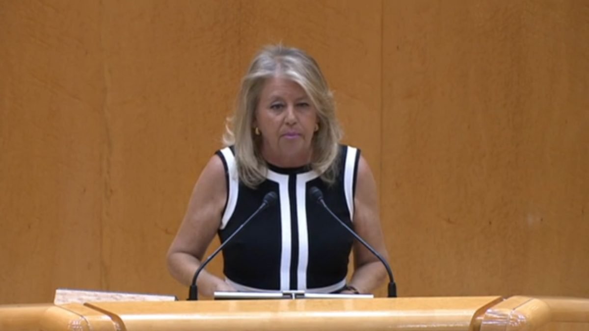 Marbella pide ante el Senado plazos y presupuestos para la estabilización de sus playas - Senado 2 Alcaldesa de Marbella, Ángeles Muñoz, en el Senado.