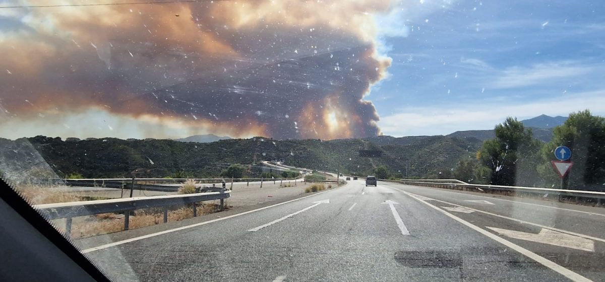 Desalojan la urbanización Montemayor de Benahavís por el incendio de Pujerra - bc805dff 65f2 4e0e bab5 e653235e8206 Desalojan la urbanización Montemayor de Benahavís por el incendio de Pujerra - bc805dff 65f2 4e0e bab5 e653235e8206