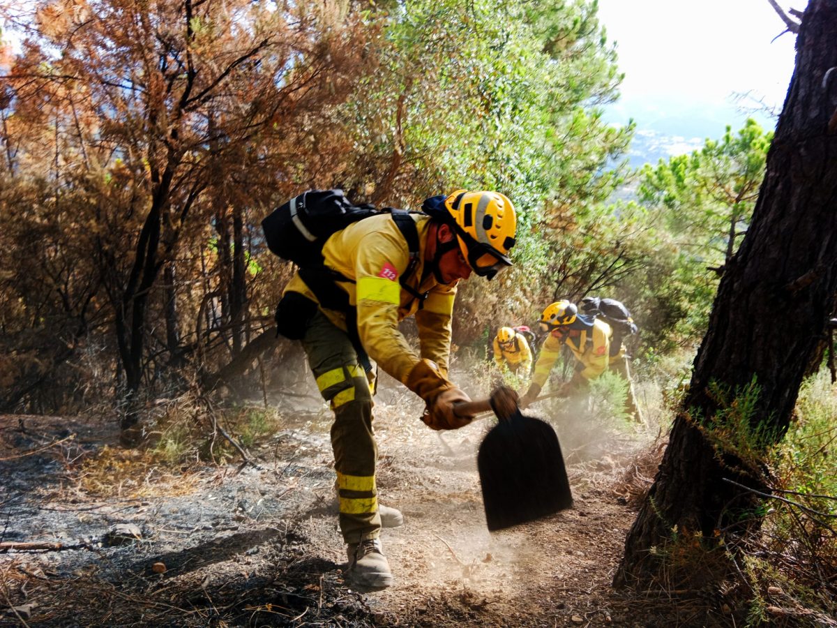 Mijas recupera la celebración del patrón de los bomberos - incendio Mijas recupera la celebración del patrón de los bomberos