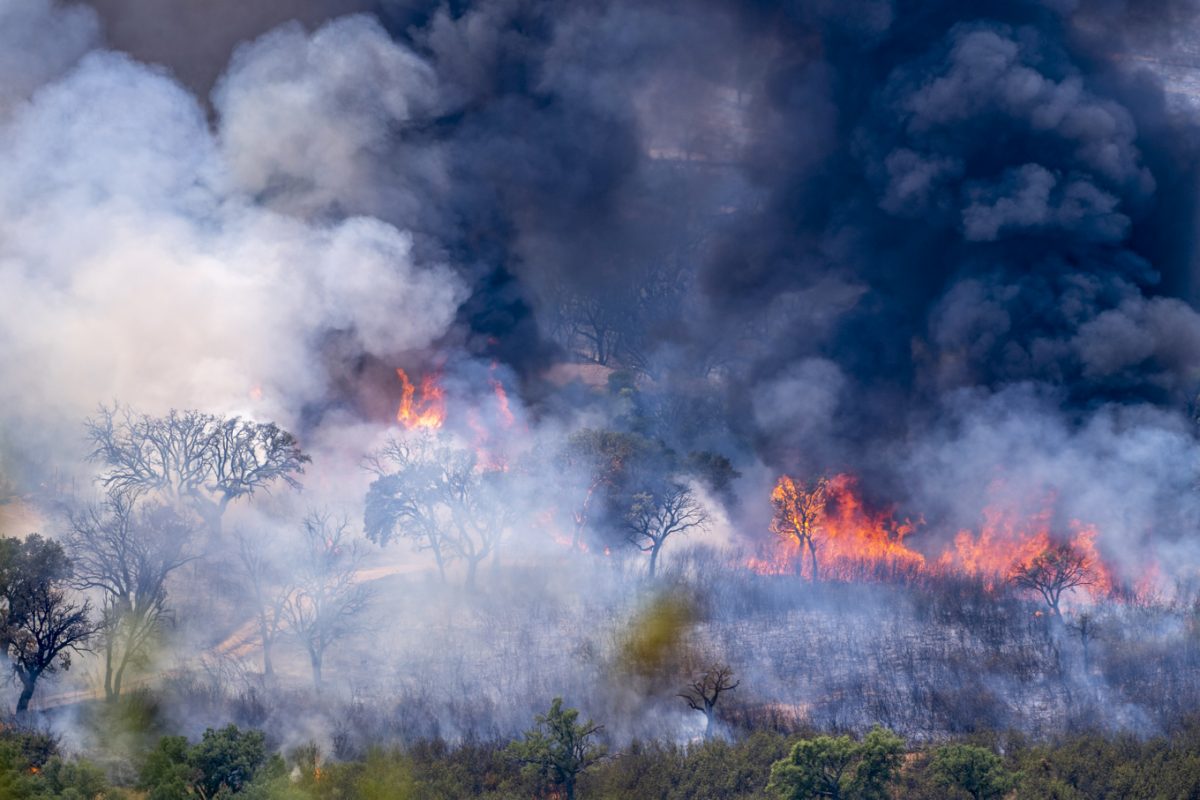 El incendio de Mijas ha sido "intencionado o por una negligencia" - 62d338e383688 El incendio de Mijas ha sido "intencionado o por una negligencia" - 62d338e383688