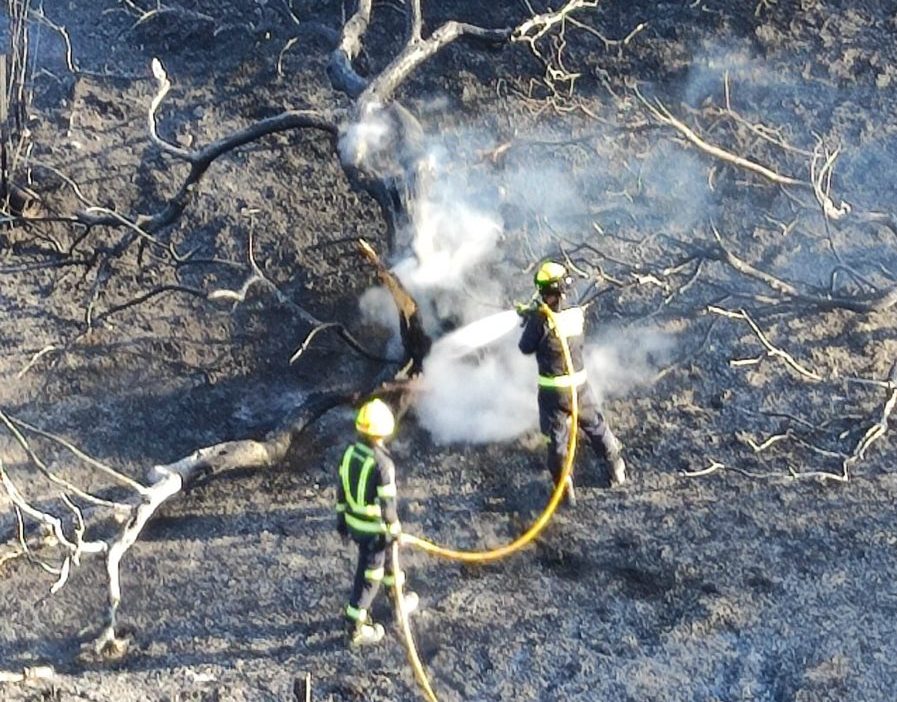 Continúan las labores de extinción en el incendio de Mijas aunque queda estabilizado - FYneAhLWYAEEqSw e1658865281761 Bomberos de Benalmádena colaborando en el incendio de Mijas. / Infoca