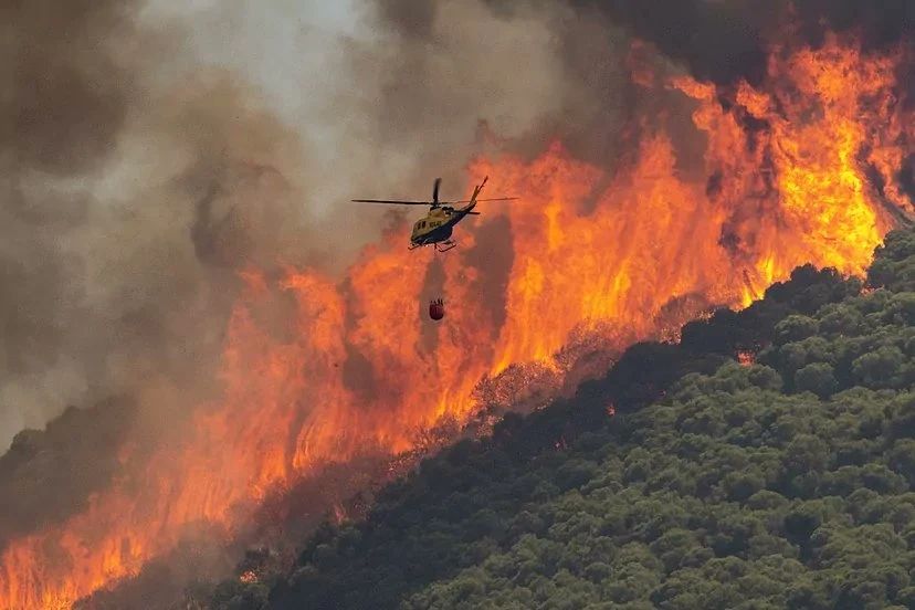 El incendio forestal se dirige hacia La Mota, en Alhaurín el Grande - Incendio Marbella se queja El incendio forestal se dirige hacia La Mota, en Alhaurín el Grande - Incendio Marbella se queja
