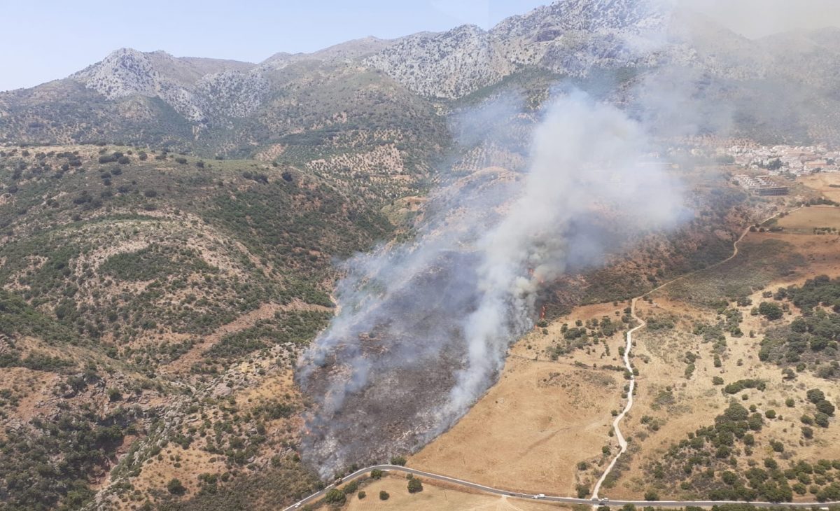 Estabilizado el incendio en la Estación de Cortes de la Frontera - Infoca IF Cortes Estabilizado el incendio en la Estación de Cortes de la Frontera - Infoca IF Cortes