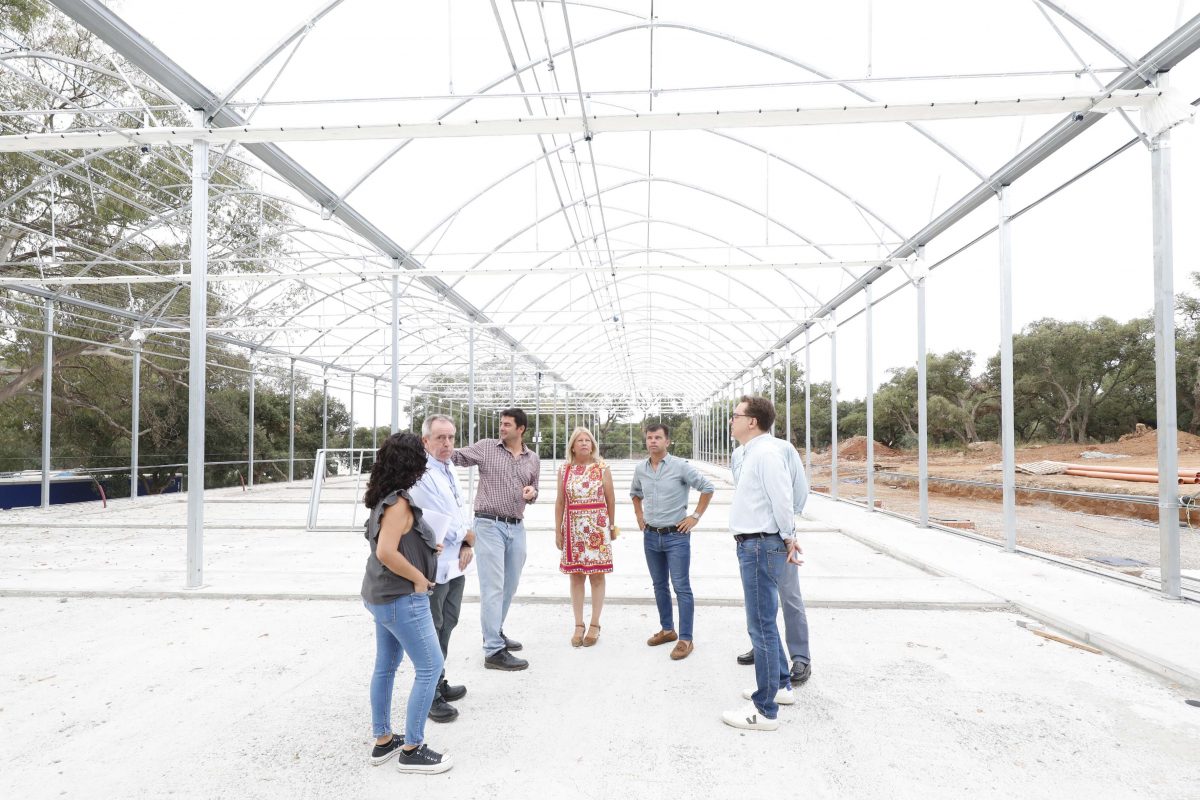Las obras del vivero municipal de Marbella están previstas que finalicen en septiembre - TGL7676 Obras del vivero municipal de Marbella