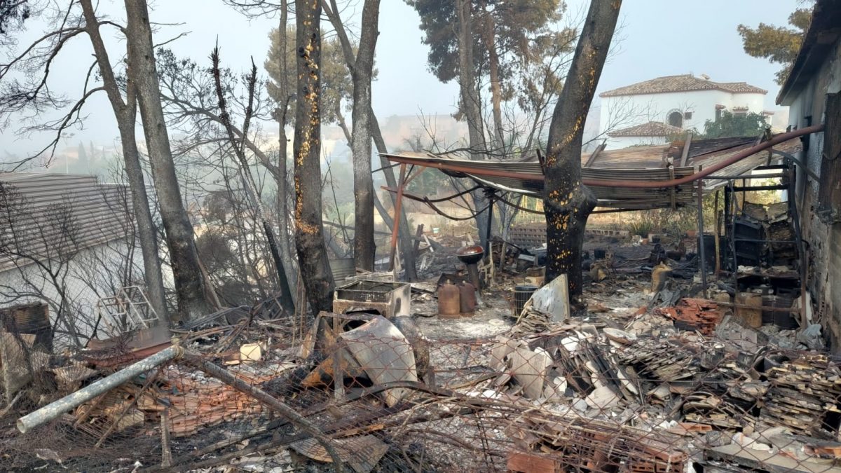 CSIF pide al alcalde que intensifique el control policial en la sierra de Estepona ante el riesgo de incendios - WhatsApp Image 2022 07 27 at 8.38.41 AM Así quedaron los alrededores de la Jefatura de Policía Local de Estepona tras el incendio.