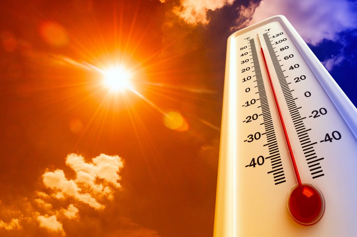 Más calor para el fin de semana en la Costa del Sol, que puede llegar a los 34 grados - calor Ola Calor Terral