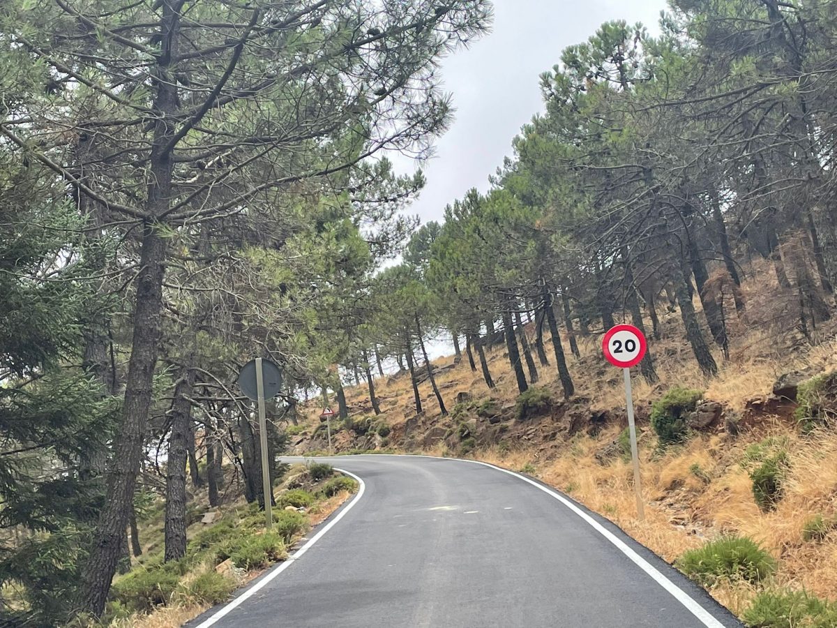 Finalizan las obras de mejora del camino de acceso a Los Reales de Sierra Bermeja - carretera Los Reales Carretera Los Reales
