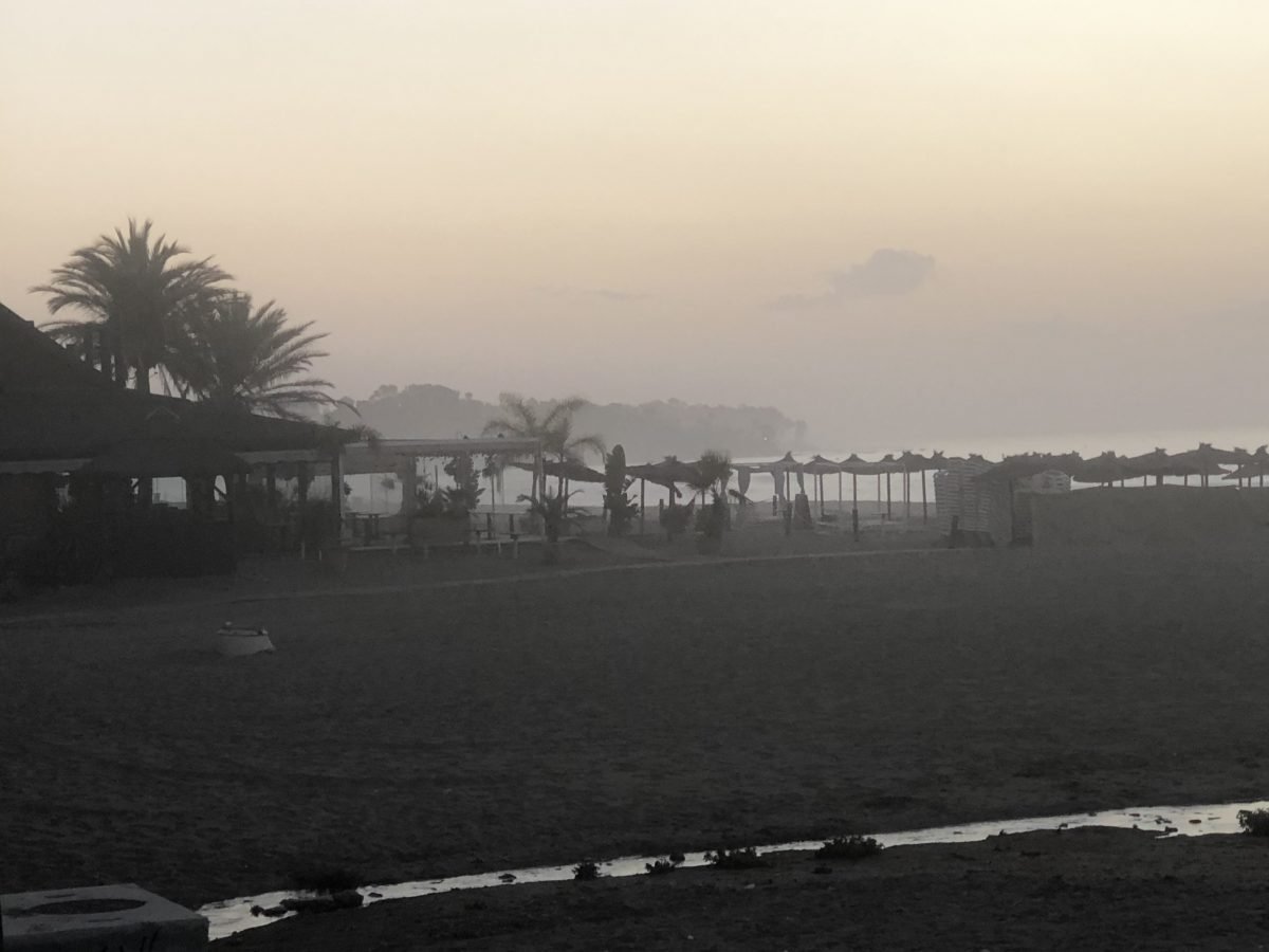Descenso de temperaturas y más niebla para este miércoles, aunque la calima se disipa - taro estepona 1 Descenso de temperaturas y más niebla para este miércoles, aunque la calima se disipa - taro estepona 1