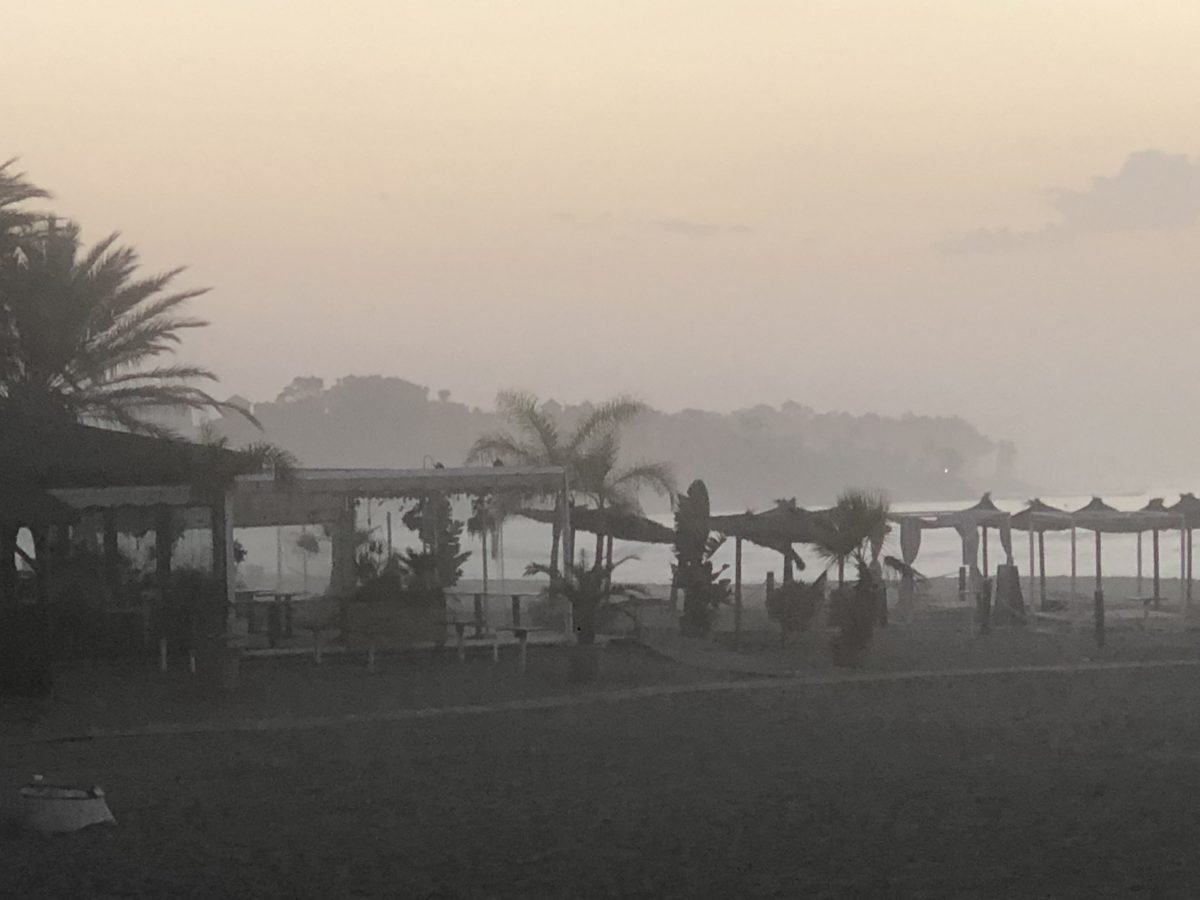 Málaga registra la temperatura más alta de Andalucía: 27,6 grados - taro estepona 2 Málaga registra la temperatura más alta de Andalucía: 27,6 grados - taro estepona 2