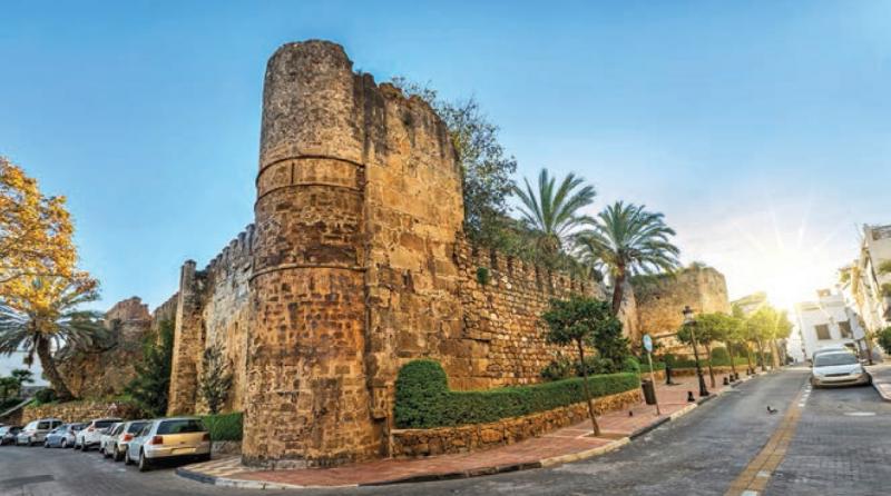 Trasladan al vivero municipal las palmeras del entorno del Castillo por obras de consolidación de la muralla - arc 314565 g Muralla Castillo Marbella