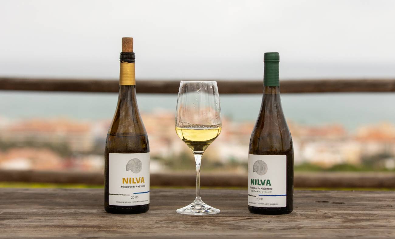 El vino de Manilva, producto característico de la provincia, ahora en la Gran Ruta de Málaga - Fotos vinos nueva Vino de Manilva