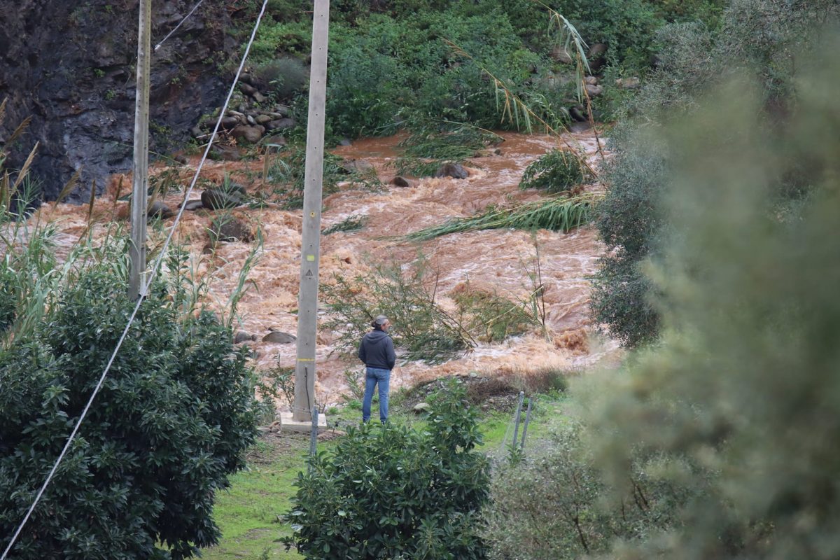Las lluvias dejan 286 litros en Los Reales de Sierra Bermeja durante el mes de diciembre - 318662261 6591201227563170 2235068074672598290 n Las lluvias dejan 286 litros en Los Reales de Sierra Bermeja durante el mes de diciembre - 318662261 6591201227563170 2235068074672598290 n