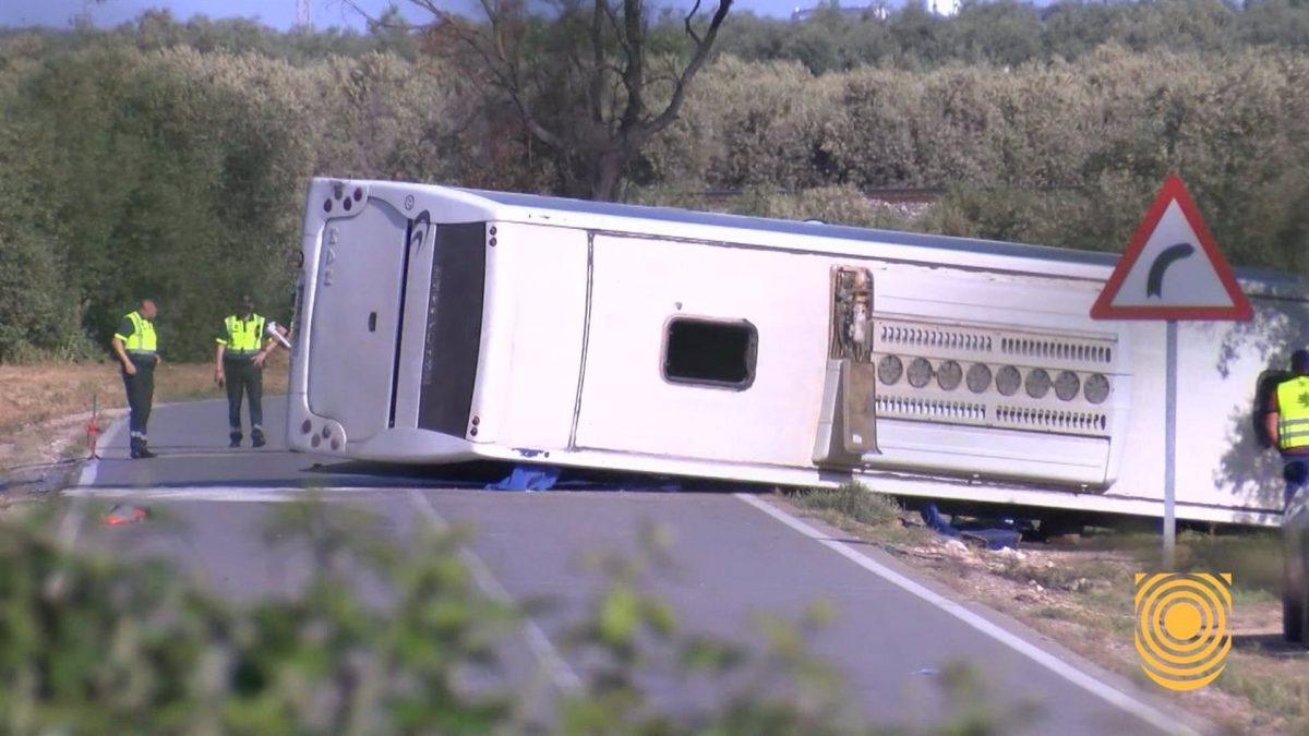 Vuelca un autobús en el tramo de Antequera de la A-45 y su conductor y único ocupante sale ileso - Bus volcado Vuelca un autobús en el tramo de Antequera de la A-45 y su conductor y único ocupante sale ileso - Bus volcado