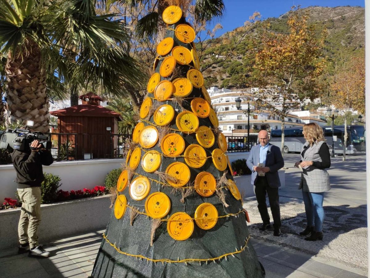 Los árboles solidarios vuelven un año más a Mijas Pueblo esta Navidad - comienza la vi ruta de arboles solidarios Ruta de Árboles Solidarios en Mijas Pueblo.