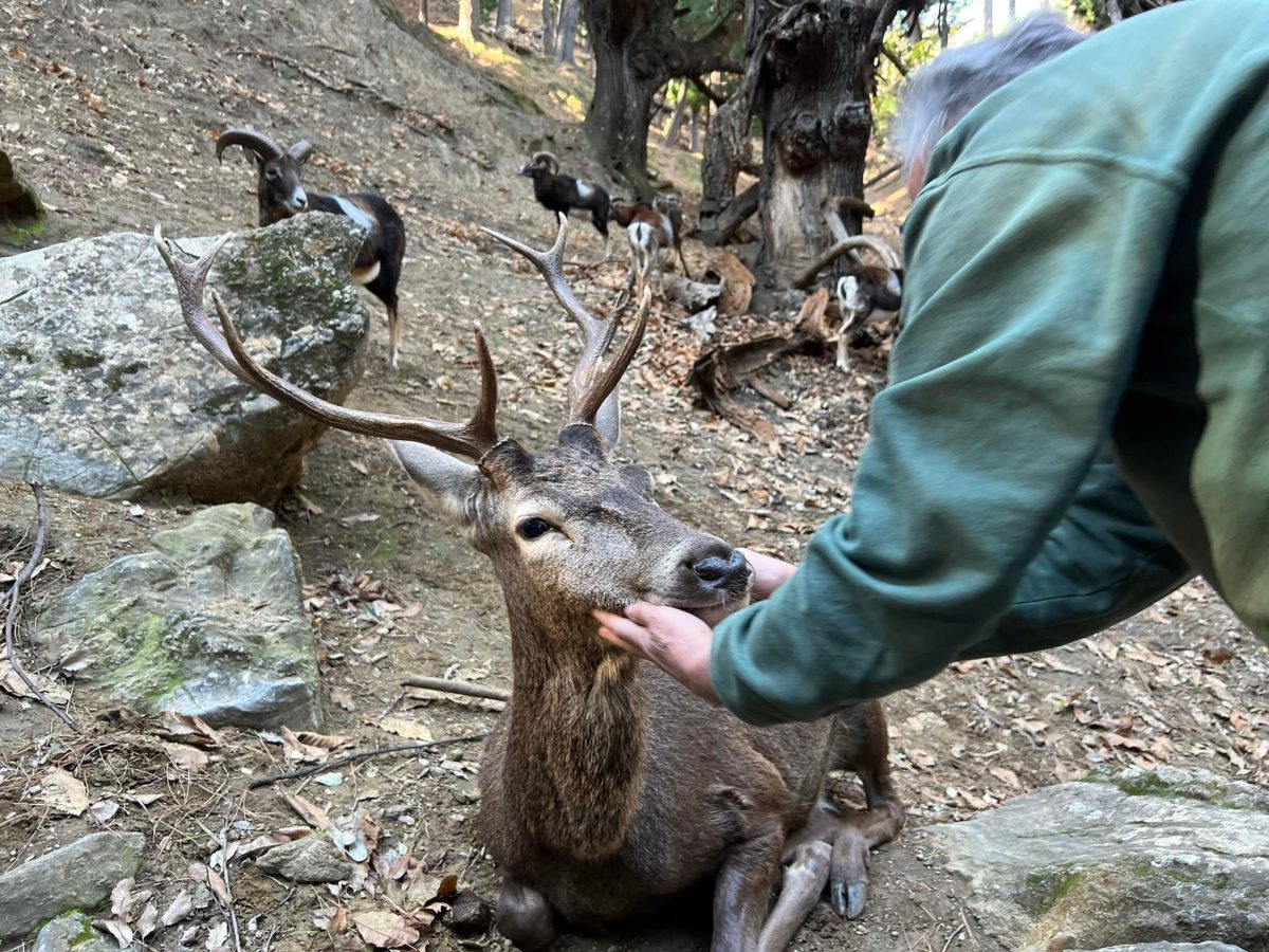 La Junta se presta al diálogo con la Eco Reserva de Ojén después de cerrarla hace un año - BF3ACC8E F561 47B8 B65D ADE471A9DC40 La Junta se presta al diálogo con la Eco Reserva de Ojén después de cerrarla hace un año - BF3ACC8E F561 47B8 B65D ADE471A9DC40