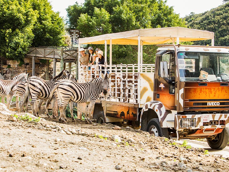 Safari en Selwo Aventura Estepona.