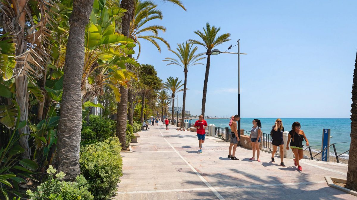 El PP de Marbella lamenta que el Gobierno de Sánchez siga empeñado en la destrucción del Paseo Marítimo - WhatsApp Image 2023 02 02 at 15.27.33 El PP de Marbella lamenta que el Gobierno de Sánchez siga empeñado en la destrucción del Paseo Marítimo - WhatsApp Image 2023 02 02 at 15.27.33