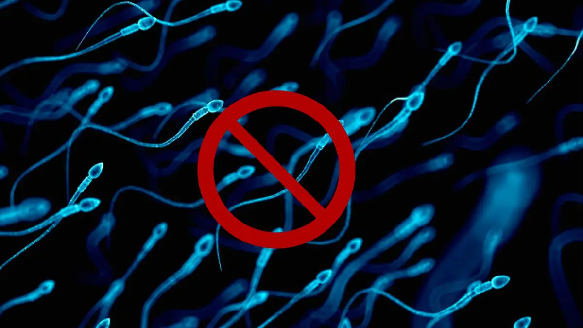 Nace la primera píldora anticonceptiva para hombres que funciona durante 24 horas - inventan pildora anticonceptiva hombres que inutiliza esperma horas 96 Nace la primera píldora anticonceptiva para hombres que funciona durante 24 horas - inventan pildora anticonceptiva hombres que inutiliza esperma horas 96