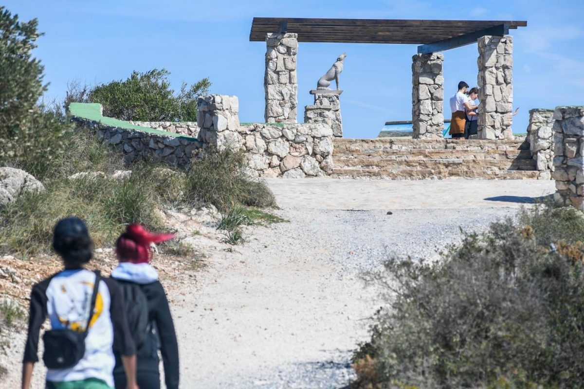 El complejo rural ‘Cañada del Lobo’ vuelve a abrir después de más de 6 años cerrado - A87F2EF9 7B52 4B27 BF64 EF8D4D583791 El complejo rural ‘Cañada del Lobo’ vuelve a abrir después de más de 6 años cerrado - A87F2EF9 7B52 4B27 BF64 EF8D4D583791