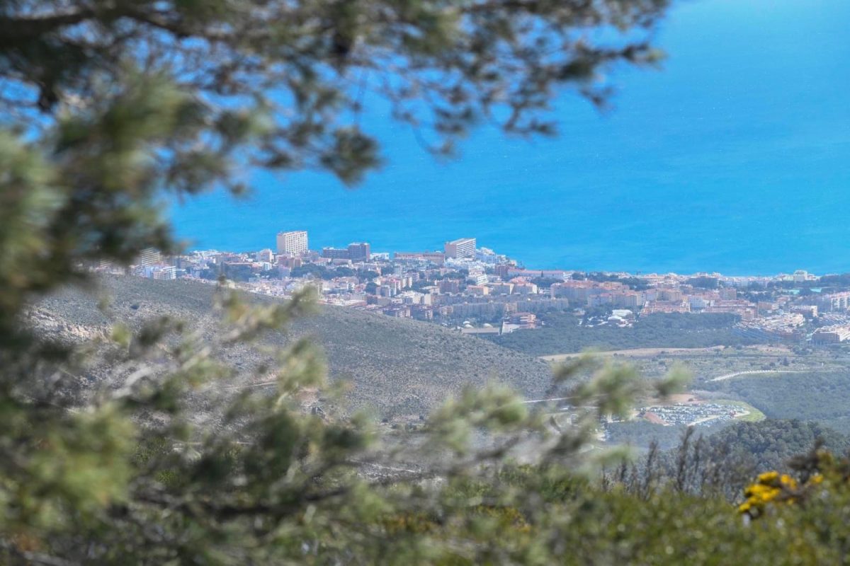 El complejo rural ‘Cañada del Lobo’ vuelve a abrir después de más de 6 años cerrado - BFA3CD8B B550 40D9 B0BD CD29ECA33347 El complejo rural ‘Cañada del Lobo’ vuelve a abrir después de más de 6 años cerrado - BFA3CD8B B550 40D9 B0BD CD29ECA33347
