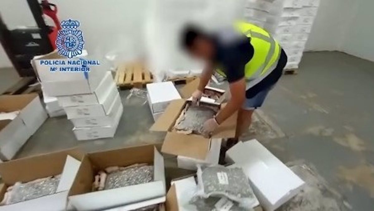 Encuentran más de 469 kg de marihuana y hachís ocultos entre cajas de productos cárnicos en Málaga - fotonoticia 20230317112446 1920 Las drogas halladas en una nave de Málaga. / Policía Nacional