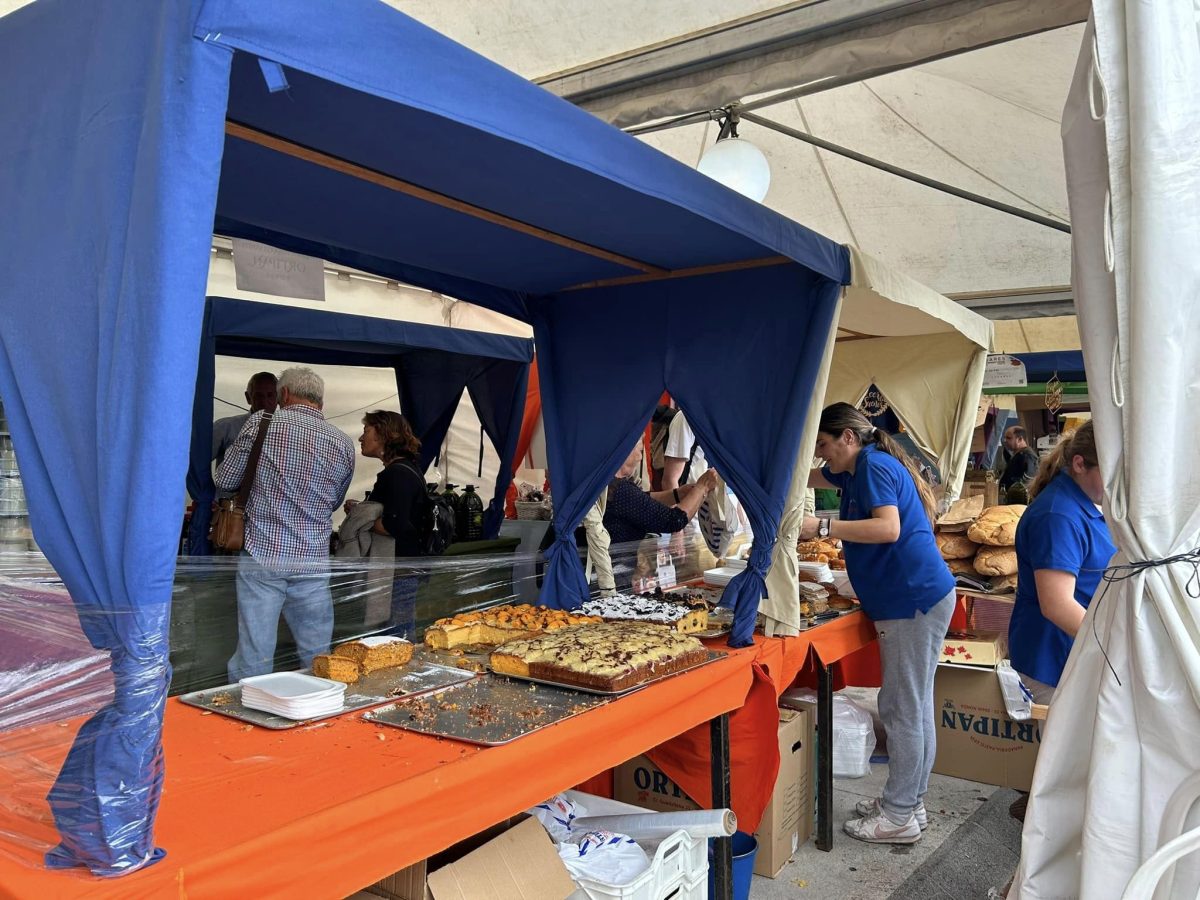 'Degusta Casares', el plan redondo para este domingo: 'Showcooking ' en directo y rutas para todos - 342481373 3385277948392801 1736803085275705425 n 'Degusta Casares', el plan redondo para este domingo: 'Showcooking ' en directo y rutas para todos - 342481373 3385277948392801 1736803085275705425 n