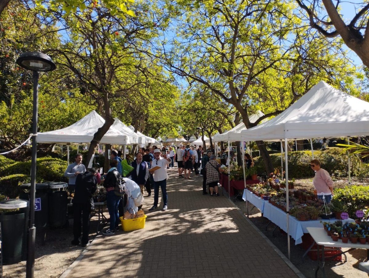 Benalmádena celebra este fin de semana la 16 edición de la Feria de Plantas de Colección - Benalmadena feria plantas coleccion Benalmádena celebra este fin de semana la 16 edición de la Feria de Plantas de Colección - Benalmadena feria plantas coleccion