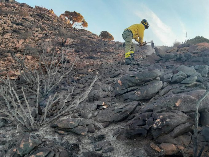 El incendio en el paraje de Mijas ya está controlado tras 15 horas ardiendo - FuYRTF2WYAEWRZF El incendio en el paraje de Mijas ya está controlado tras 15 horas ardiendo - FuYRTF2WYAEWRZF