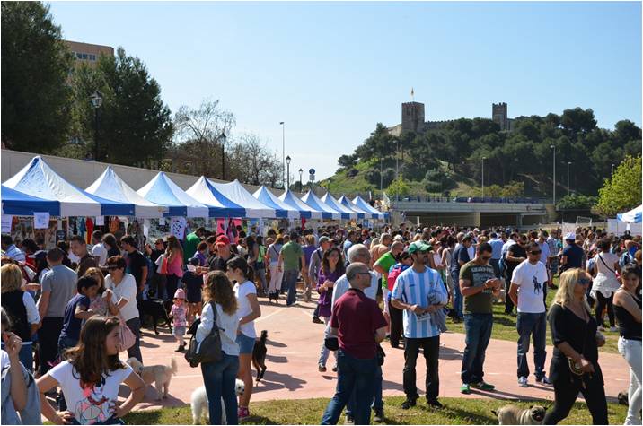 Fuengirola celebra el Día del Perro con un Concurso Canino en el Castillo Sohail - Perros Día del Perro en Fuengirola.
