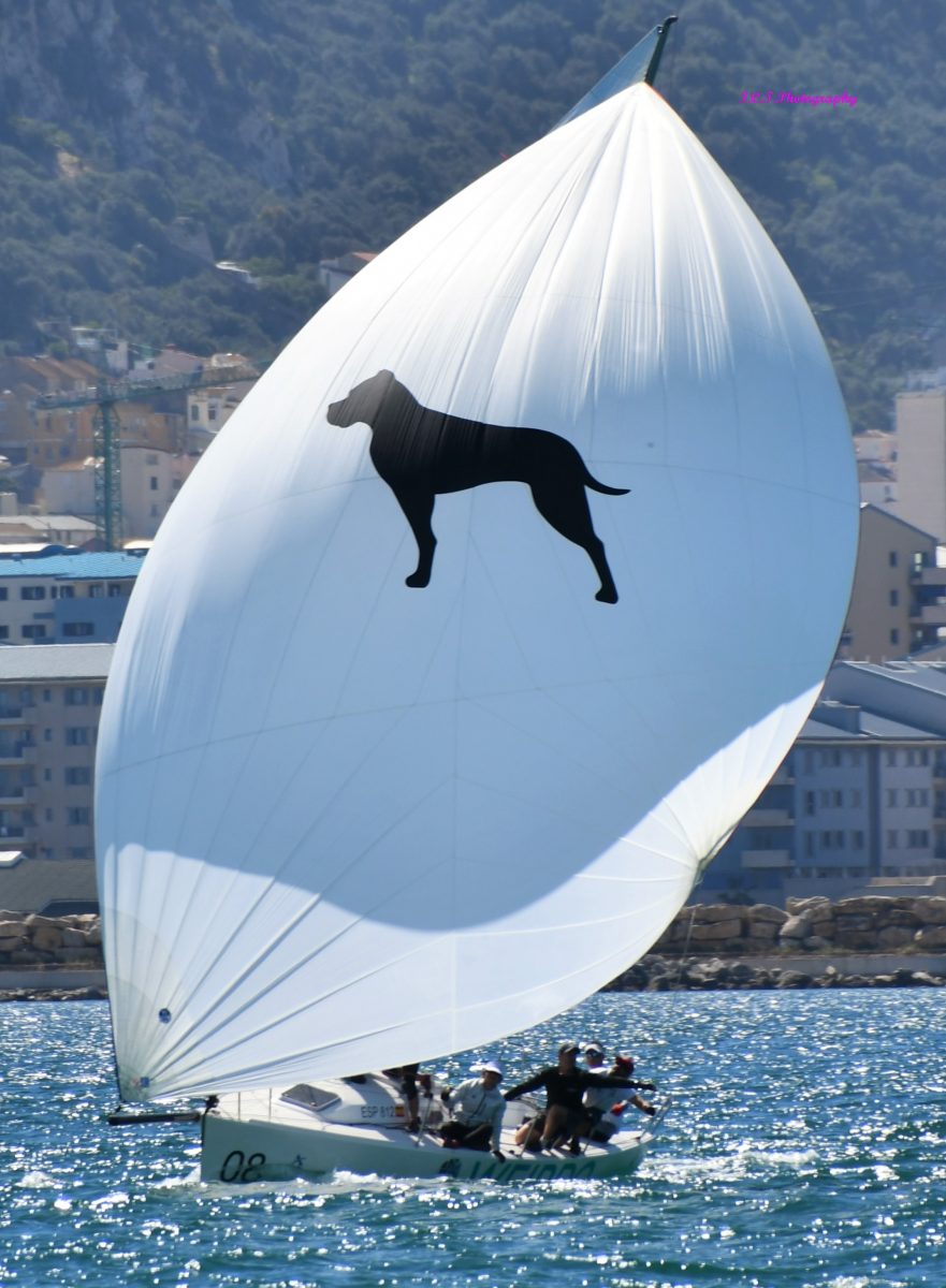 El ‘Marbella Team’ se proclama campeón de Andalucía de J/80 - SABADO J80 3 El ‘Marbella Team’ se proclama campeón de Andalucía de J/80 - SABADO J80 3