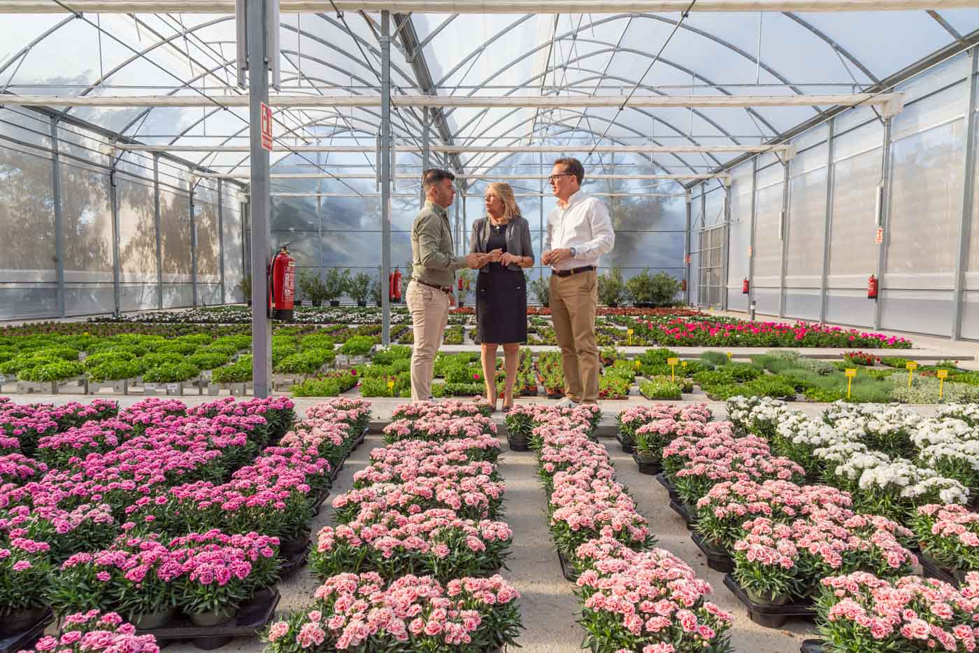 El vivero municipal de Las Chapas ha producido más de 70.000 ejemplares desde su entrada en funcionamiento - VIVERO LAS CHAPAS 01 04 23 11 El vivero municipal de Las Chapas ha producido más de 70.000 ejemplares desde su entrada en funcionamiento - VIVERO LAS CHAPAS 01 04 23 11
