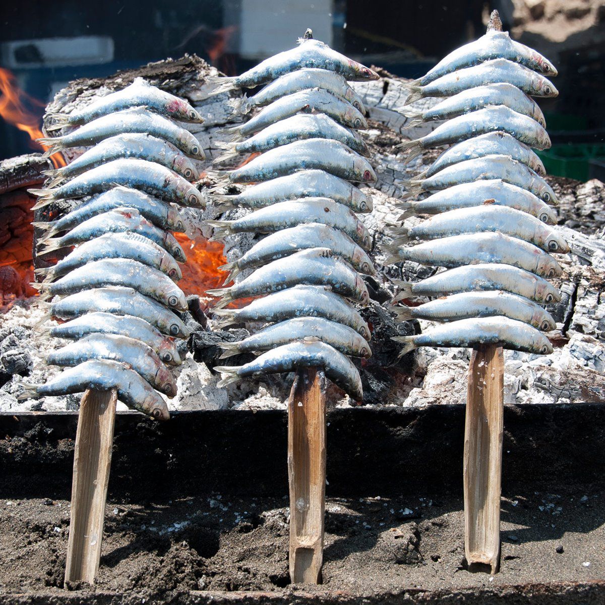 Los espetos de sardinas serán los protagonistas el 1 de mayo en Mijas - WhatsApp Image 2023 04 27 at 18.36.23 Los espetos de sardinas serán los protagonistas el 1 de mayo en Mijas - WhatsApp Image 2023 04 27 at 18.36.23