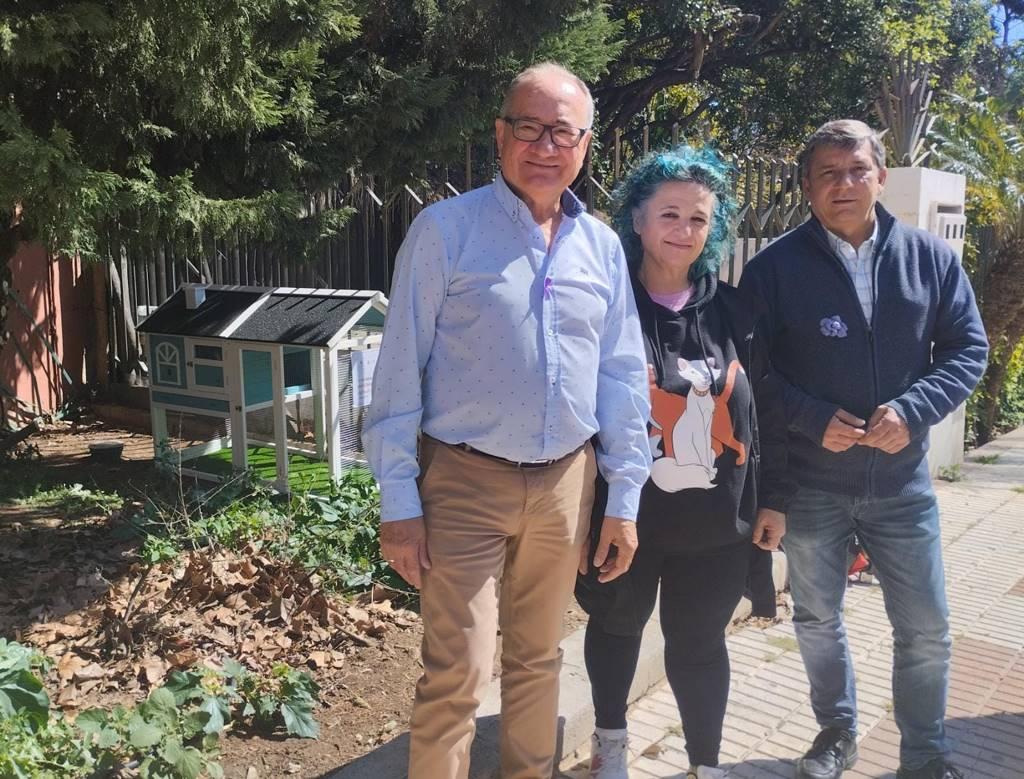 Denuncian el robo de tres casetas en Benalmádena donde se refugiaban los gatos callejeros - casetas colonias de gatos Denuncian el robo de tres casetas en Benalmádena donde se refugiaban los gatos callejeros - casetas colonias de gatos