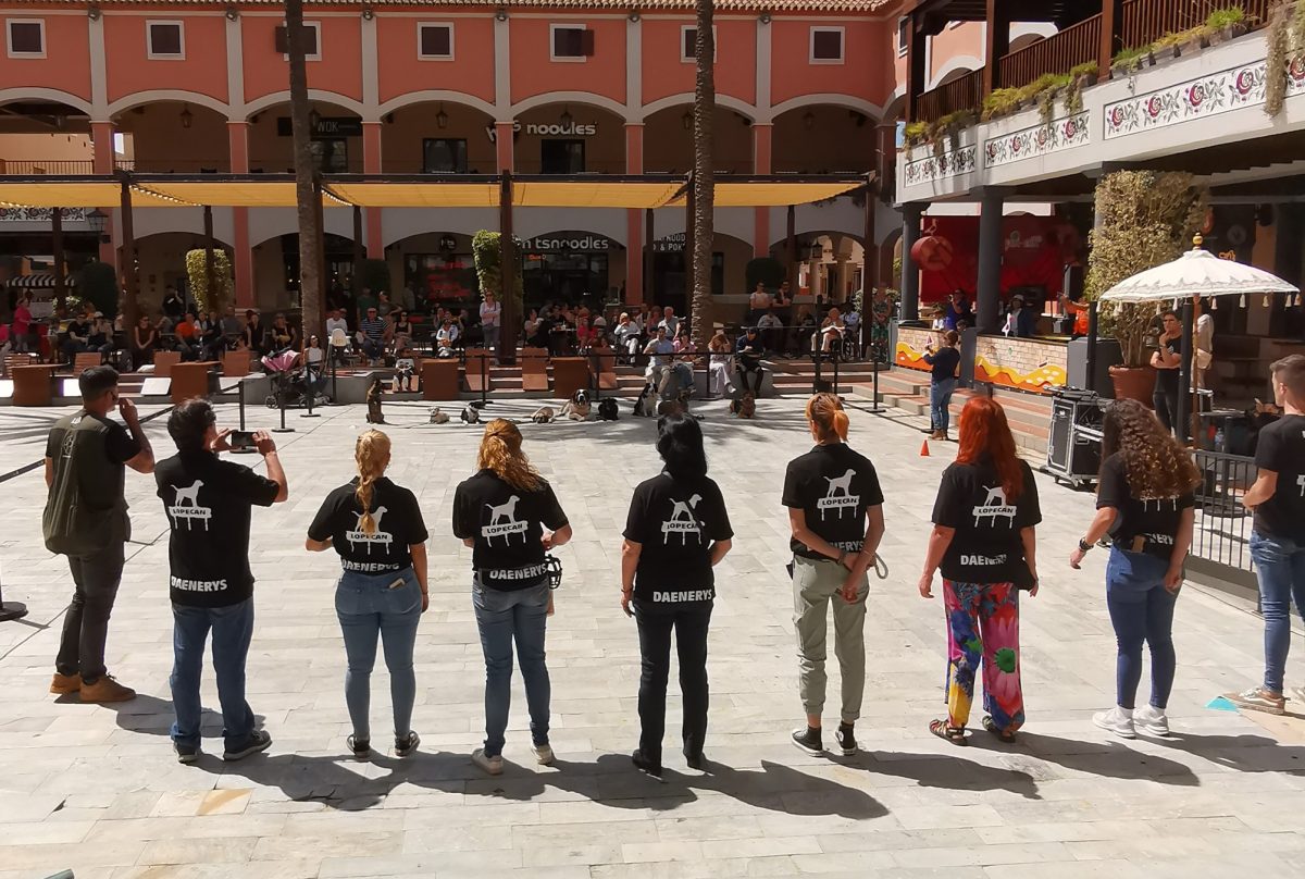 Más de 50 perros disfrutan junto a sus dueños de una jornada de convivencia en Plaza Mayor - image004 Más de 50 perros disfrutan junto a sus dueños de una jornada de convivencia en Plaza Mayor - image004