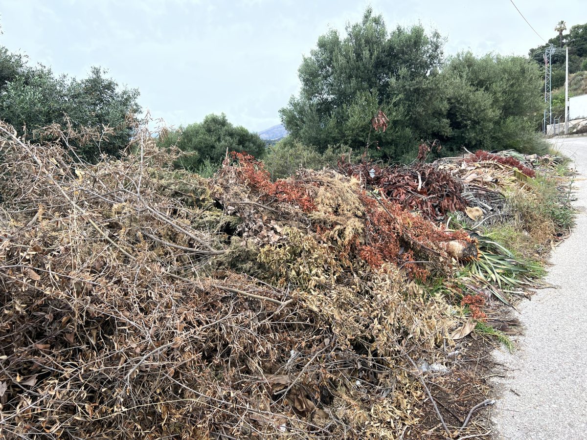 Vecinos del extrarradio denuncian el estado de "dejadez" y la acumulación de basura - 53838B75 73B0 4480 B425 6CF08E65E906 Vecinos del extrarradio denuncian el estado de "dejadez" y la acumulación de basura - 53838B75 73B0 4480 B425 6CF08E65E906