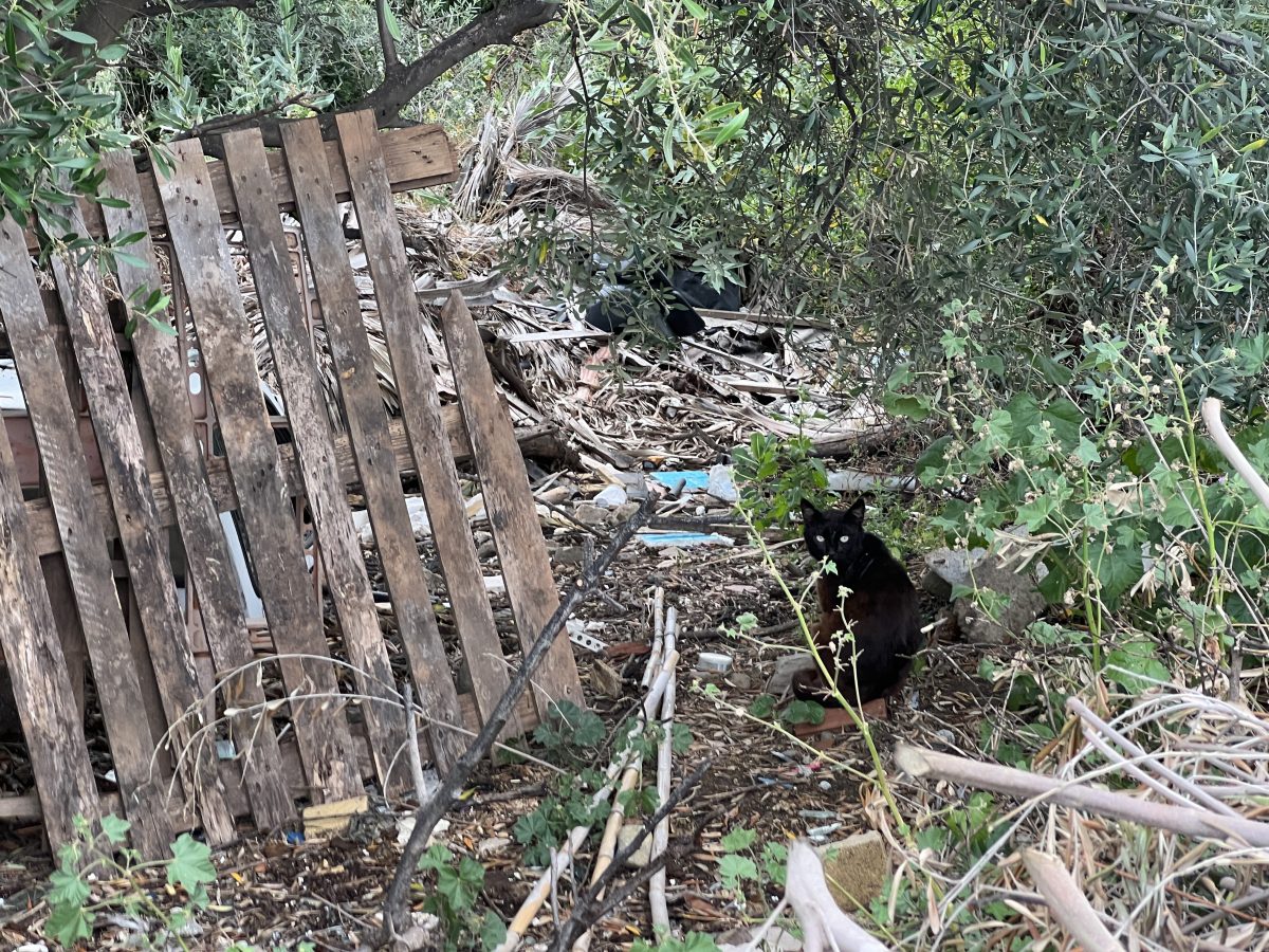 Vecinos del extrarradio denuncian el estado de "dejadez" y la acumulación de basura - IMG 3224 Vecinos del extrarradio denuncian el estado de "dejadez" y la acumulación de basura - IMG 3224