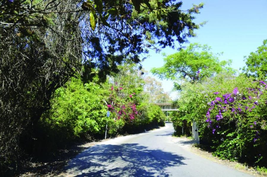 Recuperar los jardines del Pan Triste de Torremolinos, el plan de Margarita del Cid para la próxima legislatura - WhatsApp Image 2023 05 26 at 11.57.18 Recuperar los jardines del Pan Triste de Torremolinos, el plan de Margarita del Cid para la próxima legislatura - WhatsApp Image 2023 05 26 at 11.57.18